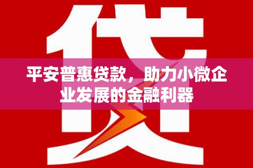 鹿野平安普惠贷款，助力小微企业发展的金融利器