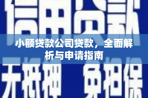 鹿野小额贷款公司贷款，全面解析与申请指南