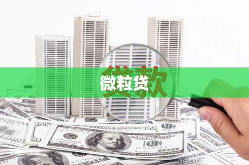 鹿野微粒贷