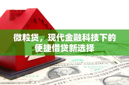 鹿野微粒贷，现代金融科技下的便捷借贷新选择