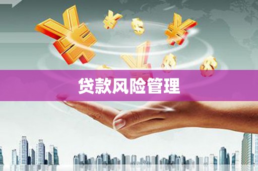 鹿野贷款风险管理