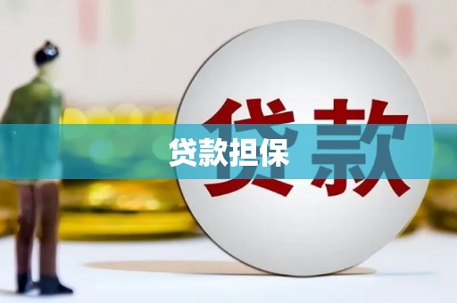 鹿野贷款担保