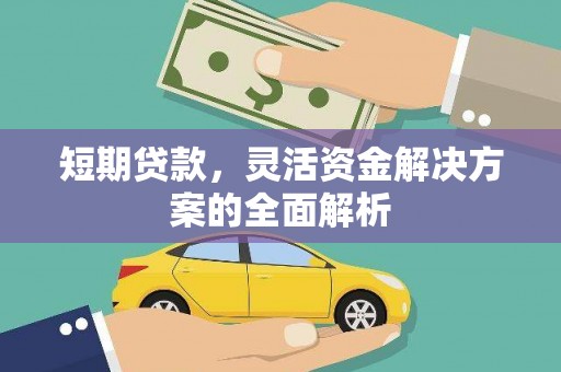 鹿野短期贷款，灵活资金解决方案的全面解析