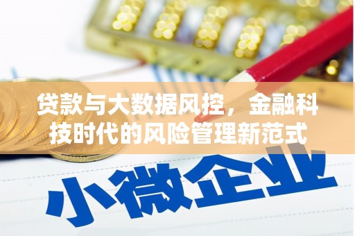 鹿野贷款与大数据风控，金融科技时代的风险管理新范式