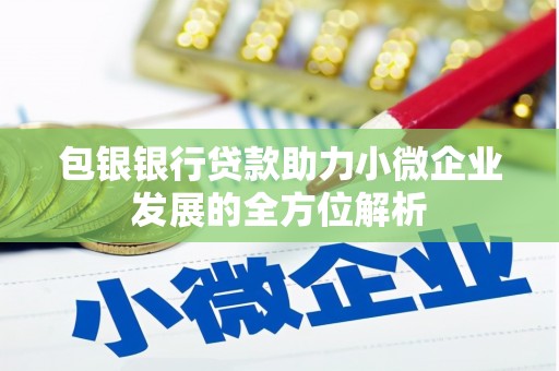 鹿野包银银行贷款助力小微企业发展的全方位解析