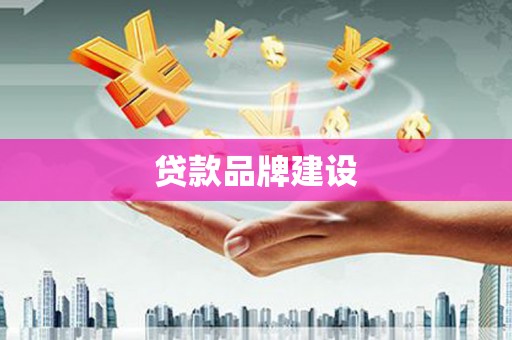 鹿野贷款品牌建设