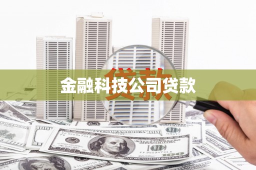 鹿野金融科技公司贷款