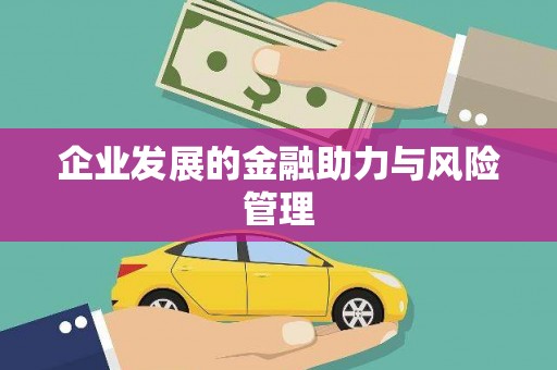 鹿野企业发展的金融助力与风险管理