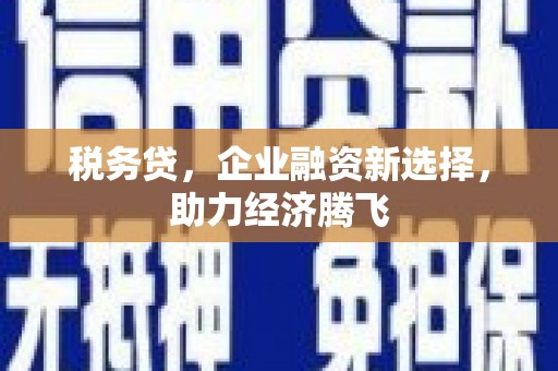 鹿野税务贷，企业融资新选择，助力经济腾飞