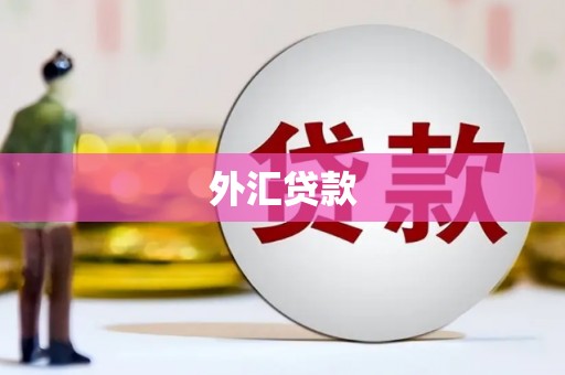 鹿野外汇贷款