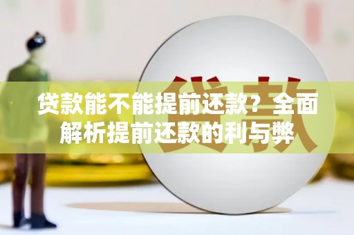 鹿野贷款能不能提前还款？全面解析提前还款的利与弊