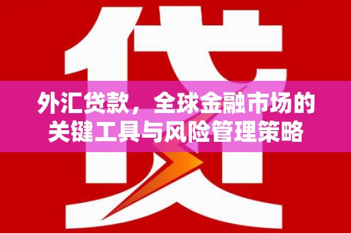 鹿野外汇贷款，全球金融市场的关键工具与风险管理策略