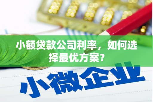 鹿野小额贷款公司利率，如何选择最优方案？