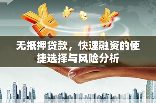 鹿野无抵押贷款，快速融资的便捷选择与风险分析