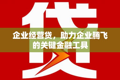 鹿野企业经营贷，助力企业腾飞的关键金融工具