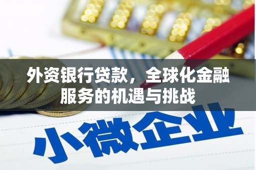 鹿野外资银行贷款，全球化金融服务的机遇与挑战