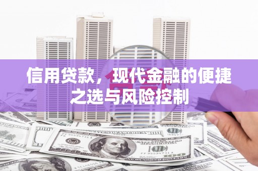 鹿野信用贷款，现代金融的便捷之选与风险控制