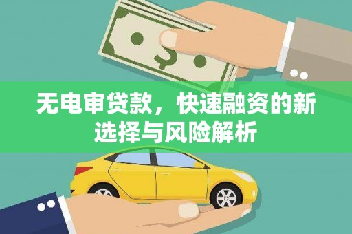 鹿野无电审贷款，快速融资的新选择与风险解析