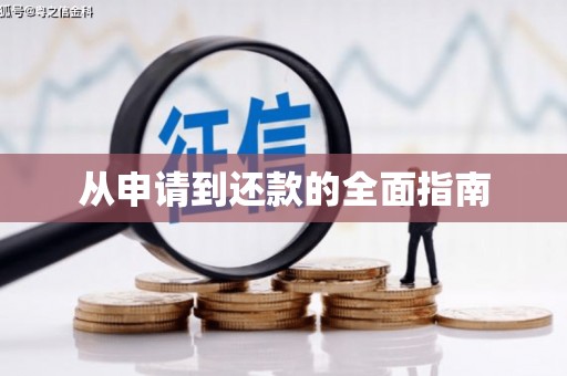 鹿野从申请到还款的全面指南