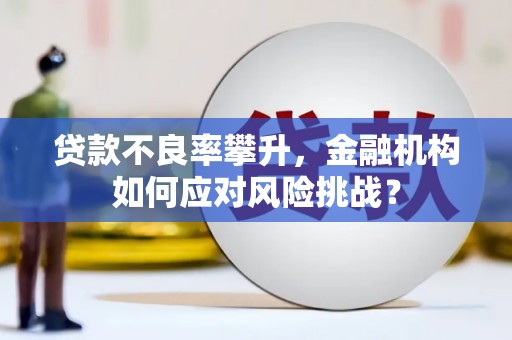 鹿野贷款不良率攀升，金融机构如何应对风险挑战？