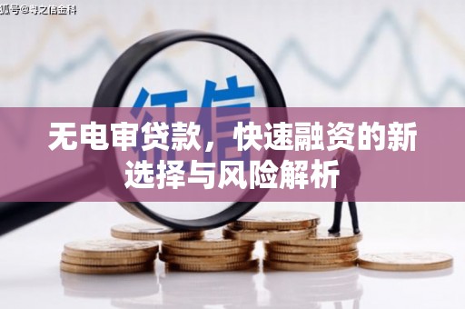 鹿野无电审贷款，快速融资的新选择与风险解析