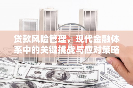 鹿野贷款风险管理，现代金融体系中的关键挑战与应对策略