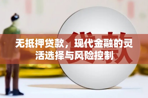 鹿野无抵押贷款，现代金融的灵活选择与风险控制
