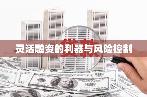 鹿野灵活融资的利器与风险控制