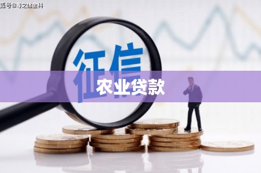 鹿野农业贷款