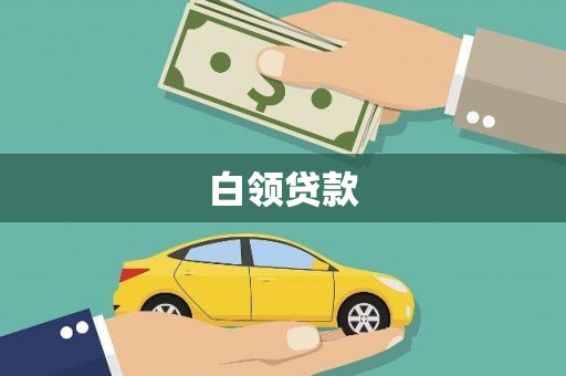 鹿野白领贷款