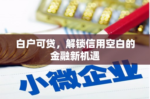 鹿野白户可贷，解锁信用空白的金融新机遇