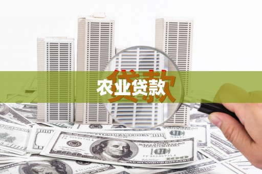 鹿野农业贷款