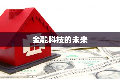 鹿野金融科技的未来