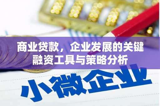 鹿野商业贷款，企业发展的关键融资工具与策略分析