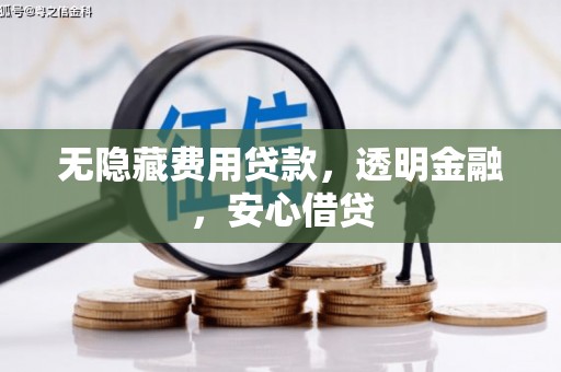 鹿野无隐藏费用贷款，透明金融，安心借贷