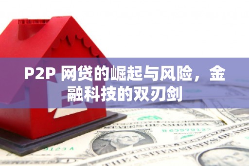 鹿野P2P 网贷的崛起与风险，金融科技的双刃剑