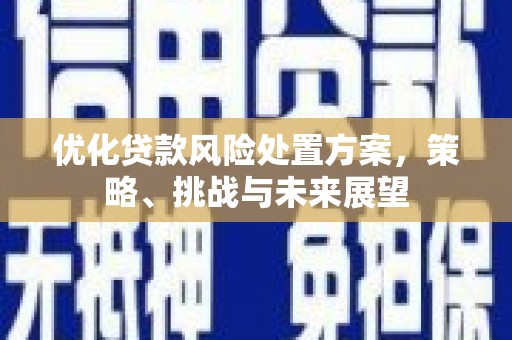 鹿野优化贷款风险处置方案，策略、挑战与未来展望