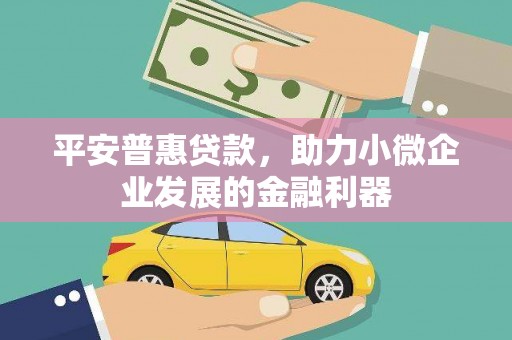 鹿野平安普惠贷款，助力小微企业发展的金融利器