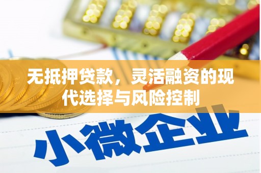鹿野无抵押贷款，灵活融资的现代选择与风险控制
