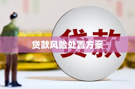 鹿野贷款风险处置方案