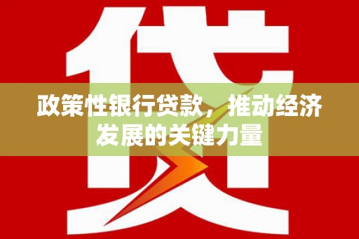 鹿野政策性银行贷款，推动经济发展的关键力量