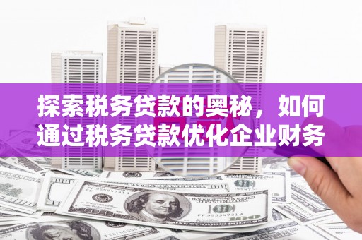 鹿野探索税务贷款的奥秘，如何通过税务贷款优化企业财务