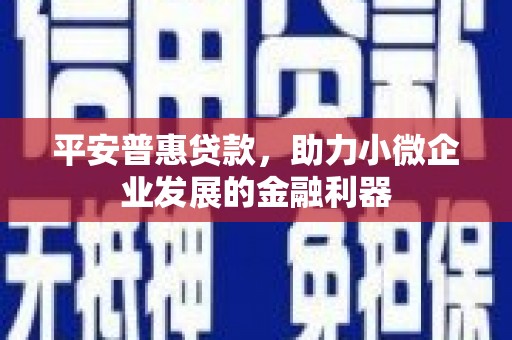 鹿野平安普惠贷款，助力小微企业发展的金融利器