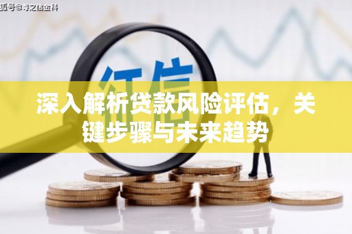 鹿野深入解析贷款风险评估，关键步骤与未来趋势