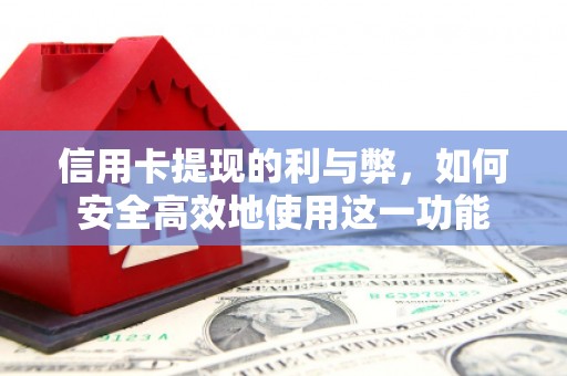 鹿野信用卡提现的利与弊，如何安全高效地使用这一功能