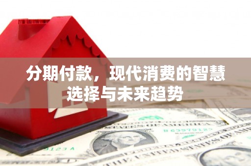 鹿野分期付款，现代消费的智慧选择与未来趋势