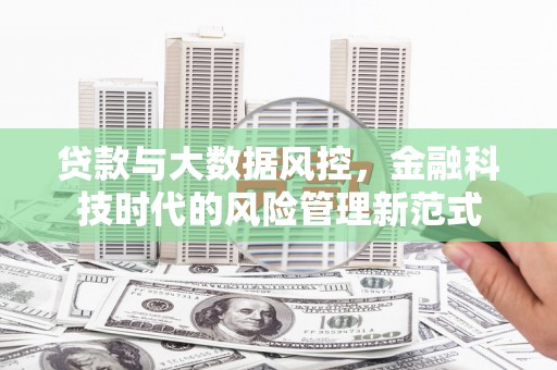 鹿野贷款与大数据风控，金融科技时代的风险管理新范式
