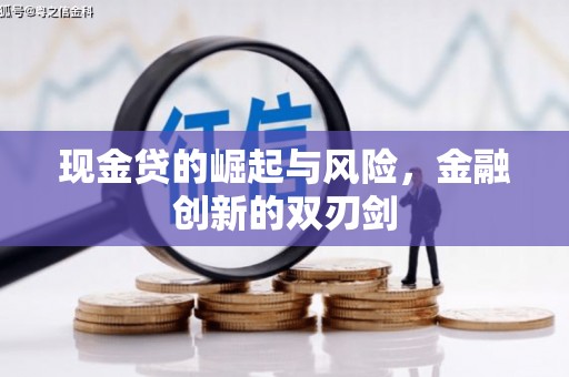 鹿野现金贷的崛起与风险，金融创新的双刃剑
