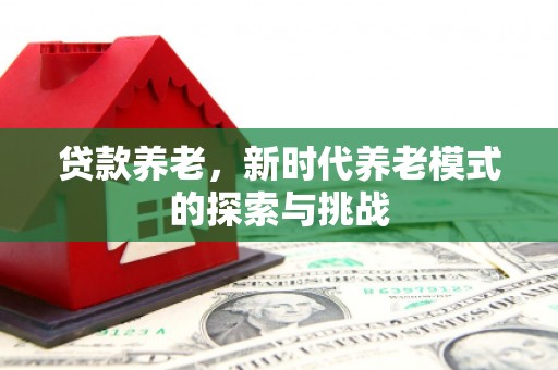 鹿野贷款养老，新时代养老模式的探索与挑战
