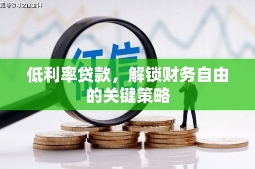 鹿野低利率贷款，解锁财务自由的关键策略